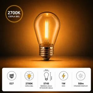 Żarówka LED 1W ST45 E27 50lm 2700K 