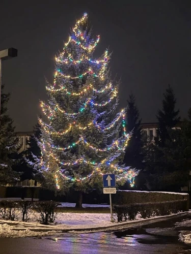 lampki choinkowe kolorowe-zewnetrze-realizacja.jpg
