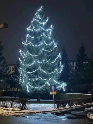 lampki-choinkowe-zewnetrzne-barwa-zimna-wizualizacja.jpg